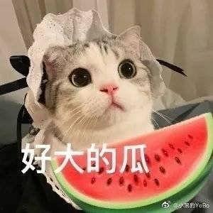 网红在线吃瓜的意义  第1张 网红在线吃瓜的意义  第1张